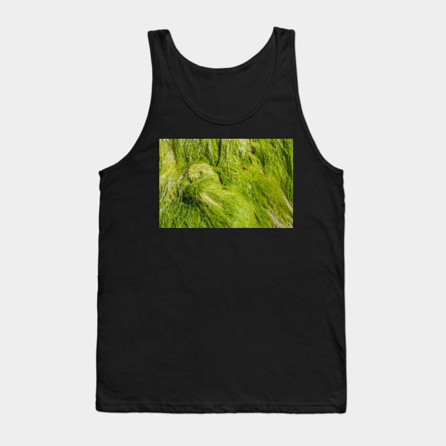 Seagrass Tank Top by fotoWerner